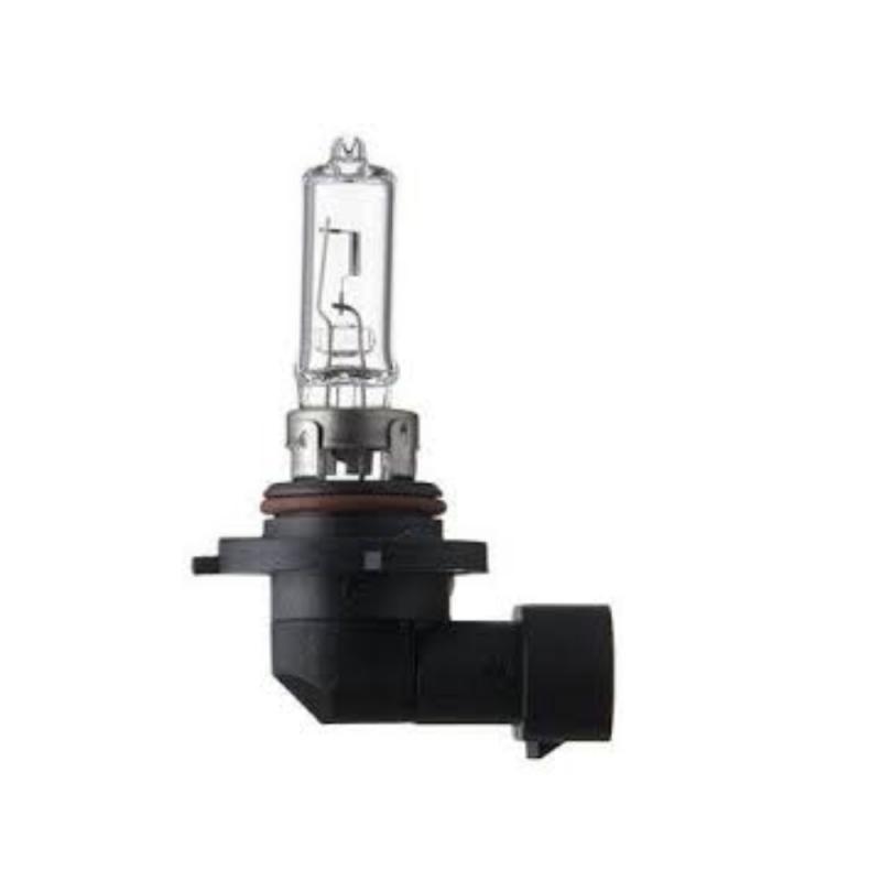 Bulbs - 2629689905